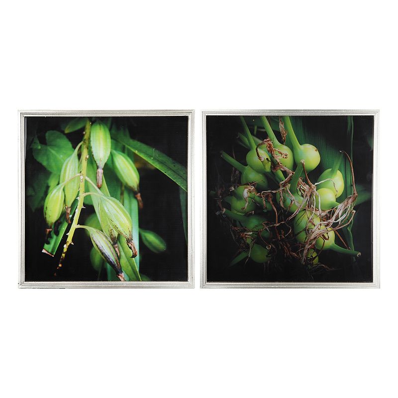 A&B Home Botanical Photography Framed Wall Art 2-piece Set, Green