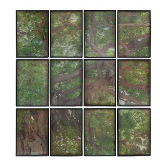 A&B Home Tree Branch Framed Collage Wall Art 12 pc Set