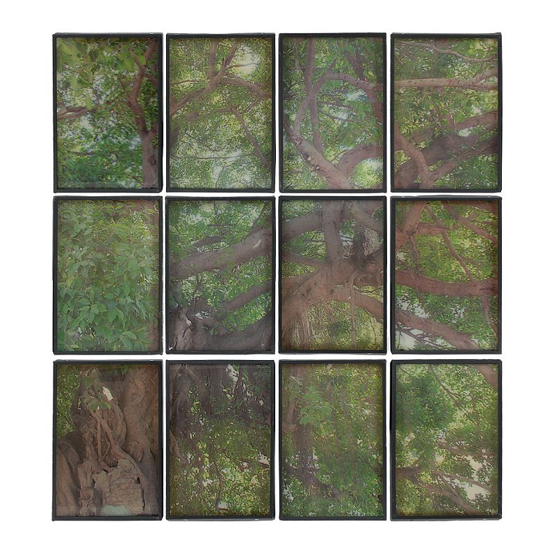 A&B Home Tree Branch Framed Collage Wall Art 12-piece Set, Green