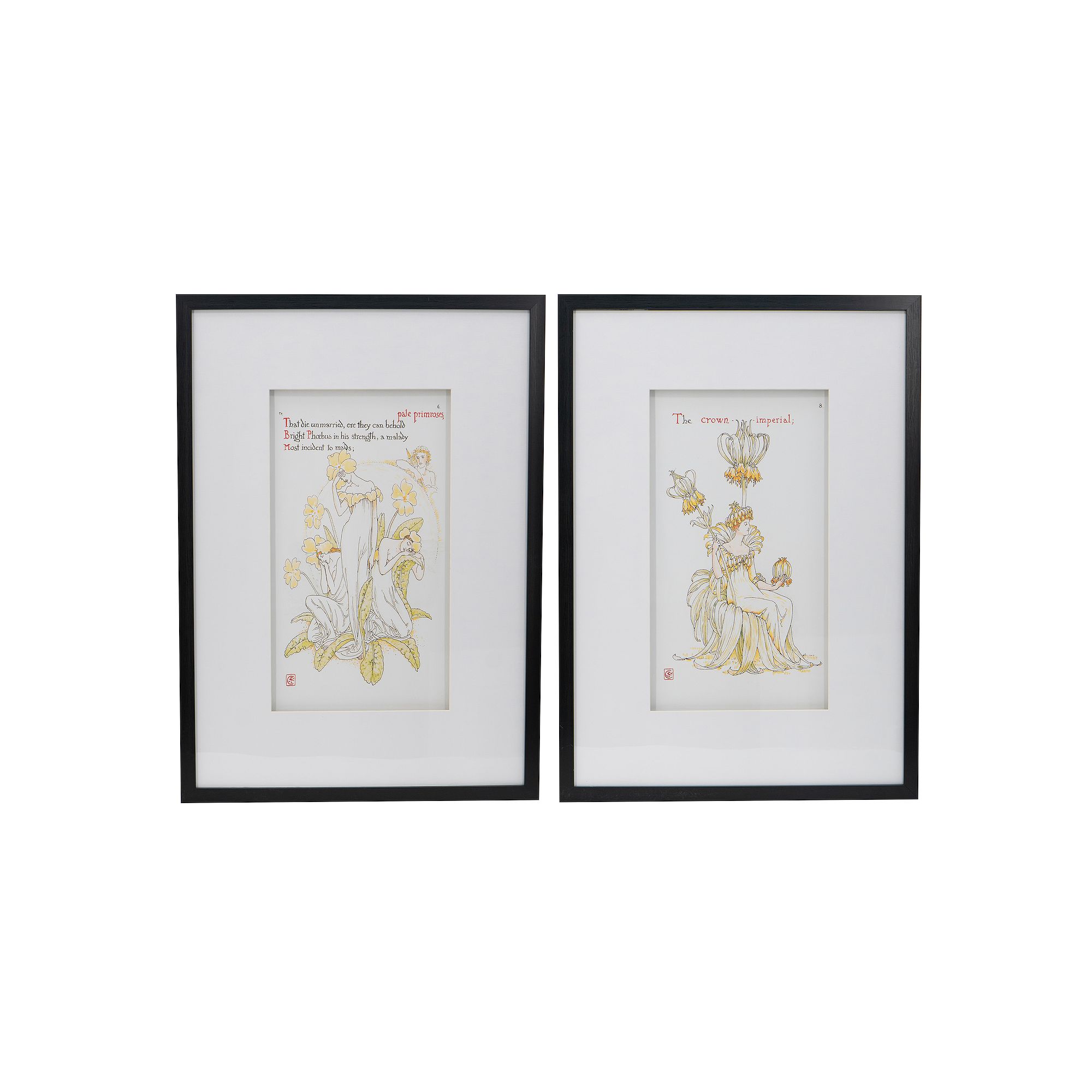 A&B Home Smithsonian Florals & Goddesses Framed Wall Art 2-piece Set, Orang