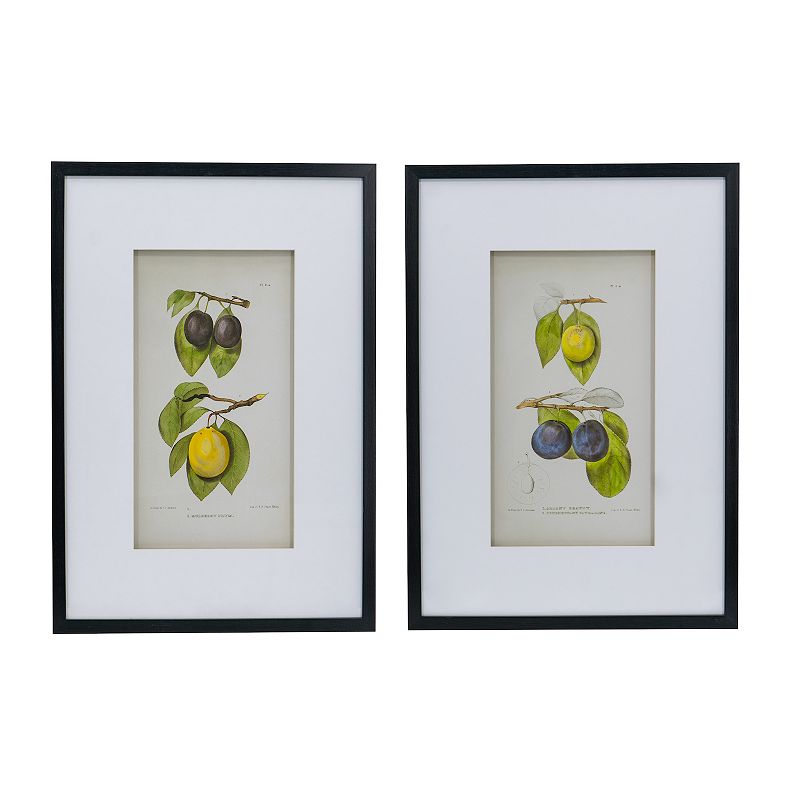 A&B Home Smithsonian - Assorted Fruit Framed Wall Art 2-Piece Set, Multicol
