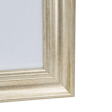 A&B Home Smithsonian Floral Framed Wall Art