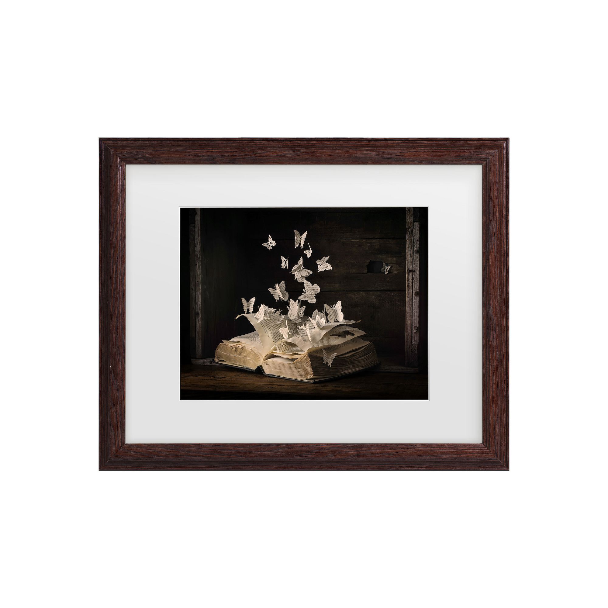 Lepidopterology Butterfly Book Framed Wall Art, Multi