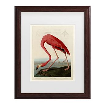 American Flamingo Framed Wall Art