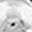 Sterling