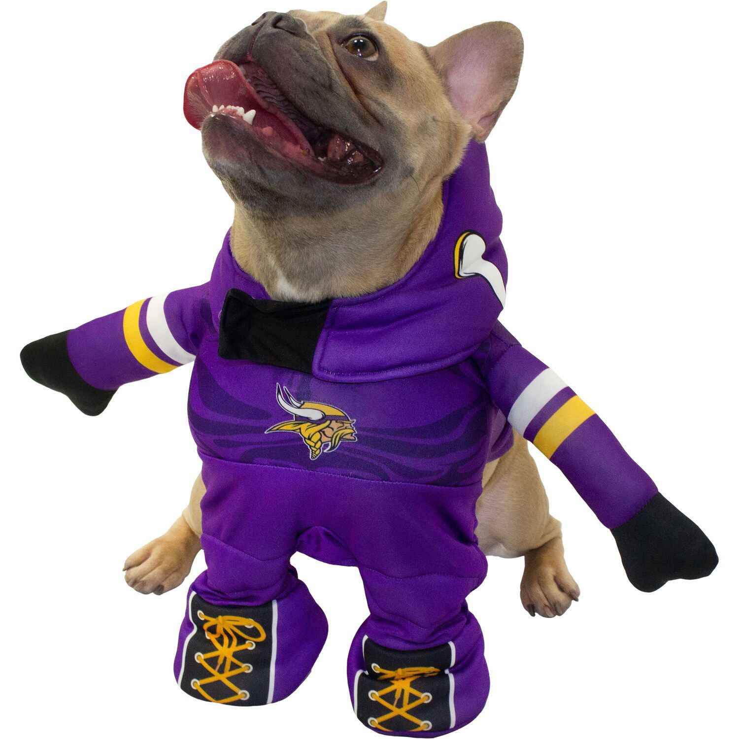 minnesota vikings dog clothes