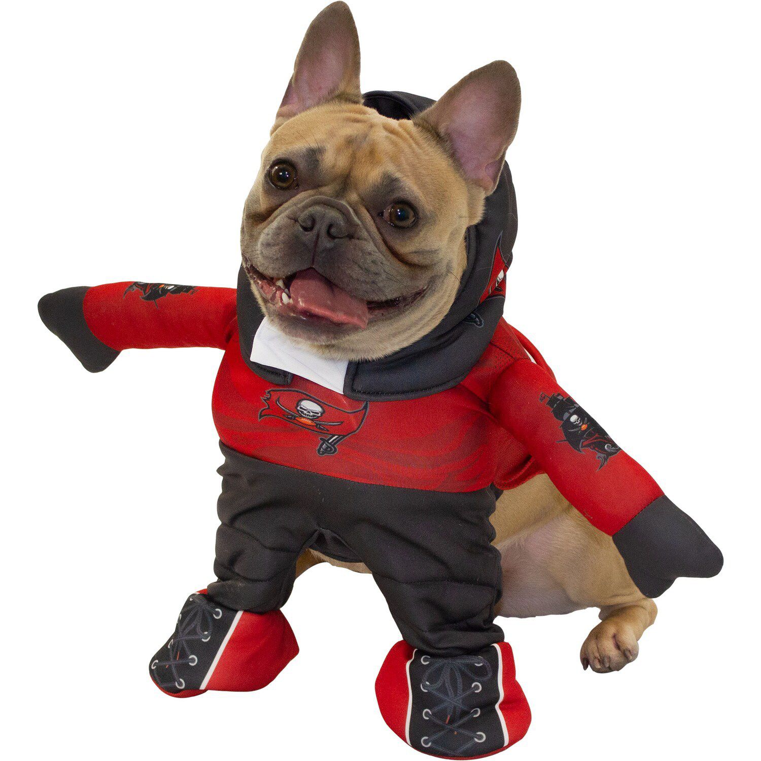 San Francisco 49ers Running Dog Costume