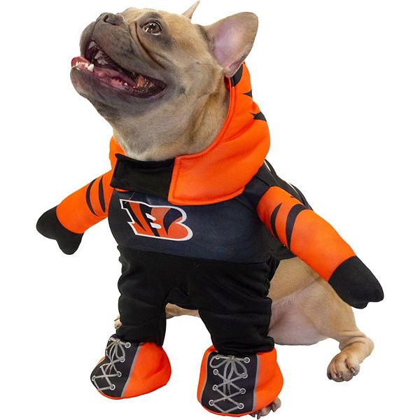 Denver Broncos Running Dog Costume