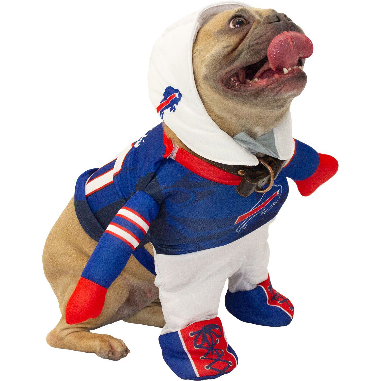 Las Vegas Raiders Cheer Dog Costume