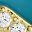Gold Tone Turquoise