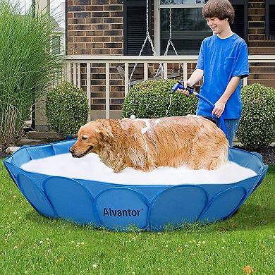 Alvantor 63-in. Pet Swimming Pool