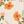 Vintage Florals