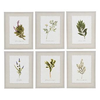 New View Gifts & Accessories 6 pc Botanical Canvas Wall Art Set