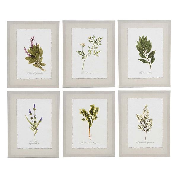 New View Gifts & Accessories 6-piece Botanical Canvas Wall Art Set