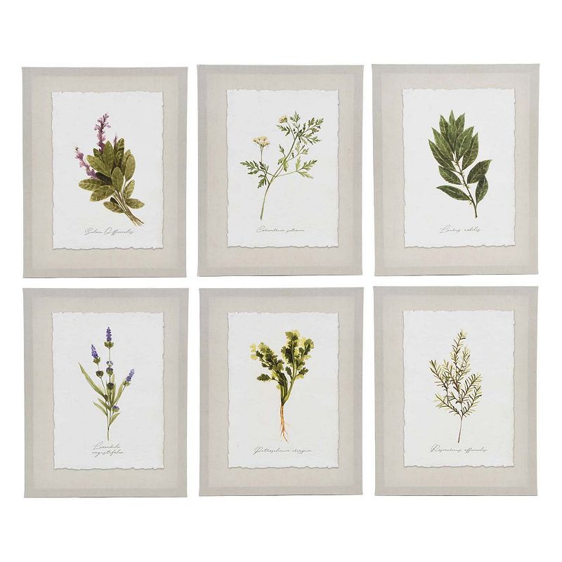 New View Gifts & Accessories 6-piece Botanical Canvas Wall Art Set, Brown