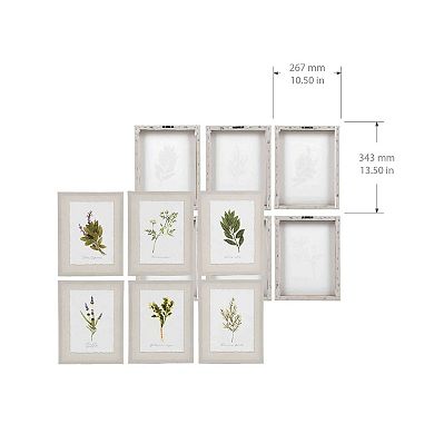 New View Gifts & Accessories 6-piece Botanical Canvas Wall Art Set