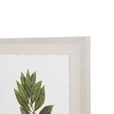 New View Gifts & Accessories 6-piece Botanical Canvas Wall Art Set