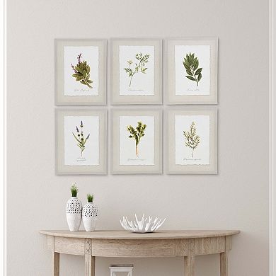 New View Gifts & Accessories 6-piece Botanical Canvas Wall Art Set