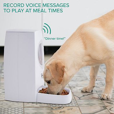 Arf Pets Automatic Pet Feeder, Food Dispenser for Dogs & Cats W/ Voice Recorder