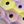 Purple Lilac