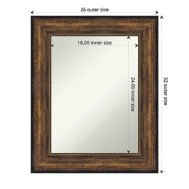 Amanti Art Bronze Tone Finish Bathroom Wall Mirror