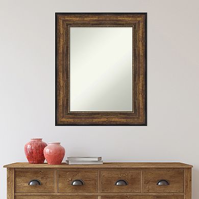 Amanti Art Bronze Tone Finish Bathroom Wall Mirror