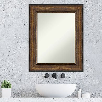 Amanti Art Bronze Tone Finish Bathroom Wall Mirror
