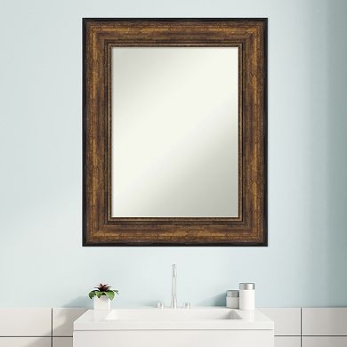 Amanti Art Bronze Tone Finish Bathroom Wall Mirror