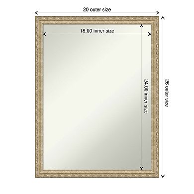 Amanti Art Non-Beveled Bathroom Wall Mirror Paris Champagne Frame