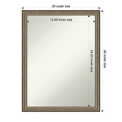 Amanti Art Parisian Bathroom Wall Mirror