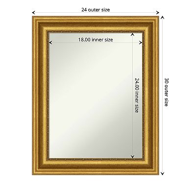 Amanti Art Parlor Gold Finish Bathroom Wall Mirror