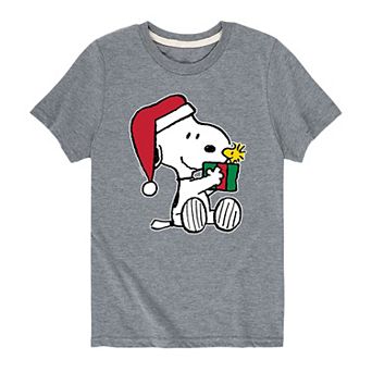Boys 8-20 Peanuts Snoopy Woodstock Gift Graphic Tee