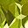 Peridot
