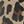 Vintage Leopard