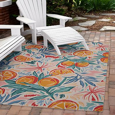 Linon Pensacola Outdoor Machine Washable Rug
