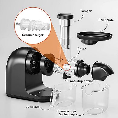 Joyoung Ceramic Masticating Juicer Machine for Vegetables, Fruit, & Ice Cream