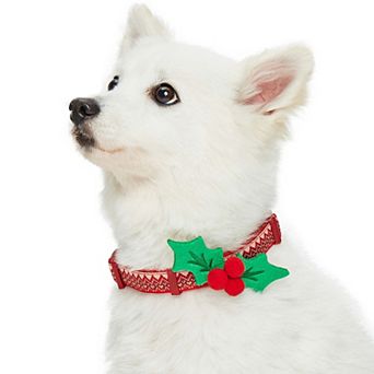 Blueberry Pet Christmas Zigzag Chevron Dog Collar with Holly