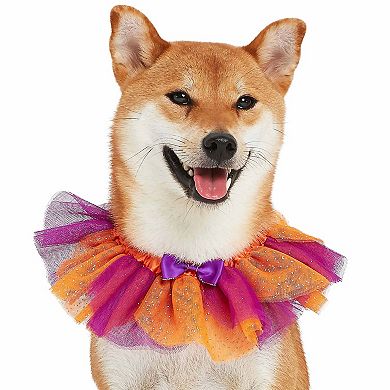 Blueberry Pet Halloween Party Breakaway Costume Dog Collar