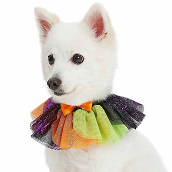 Blueberry Pet Halloween Party Breakaway Costume Dog Collar