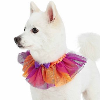 Blueberry Pet Halloween Party Breakaway Costume Dog Collar