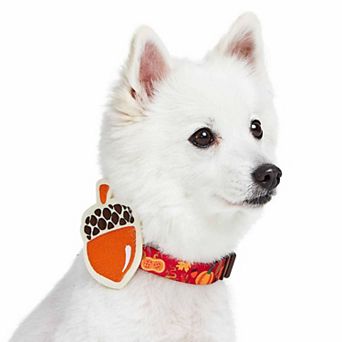 Blueberry Pet Fall Pumpkin and Acorn Dog Collar