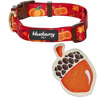 Blueberry Pet Fall Pumpkin and Acorn Dog Collar with Detachable Decor