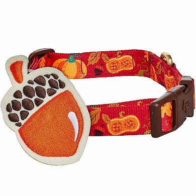 Blueberry Pet Fall Pumpkin and Acorn Dog Collar with Detachable Decor