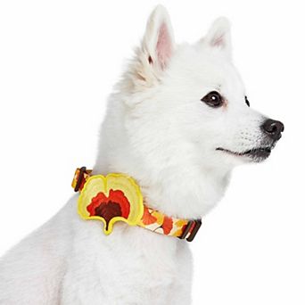 Blueberry Pet Fall Ginkgo Biloba Leaf Dog Collar