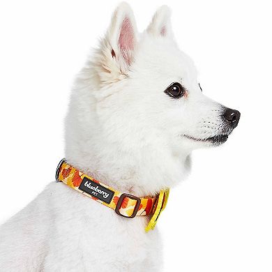 Blueberry Pet Fall Ginkgo Biloba Leaf Dog Collar with Detachable Deco