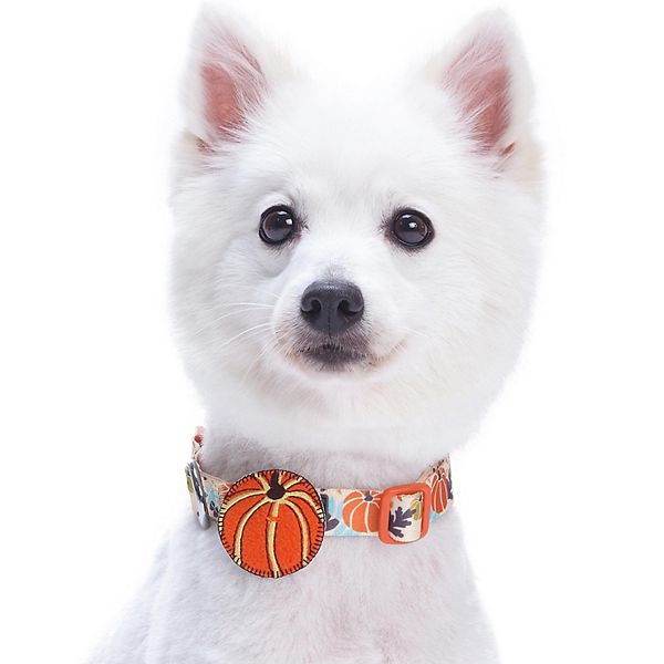 Blueberry Pet Sports Fan Basketball Canvas Adjustable Dog Collar with Metal  Buckle in Passion Orange, Large, Neck 17-20.5 