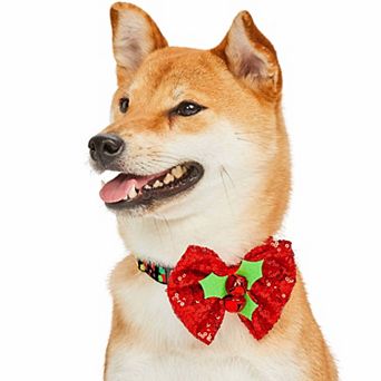 Blueberry Pet Christmas Holly Dog Collar