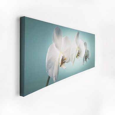 Teal Orchid Canvas Wall Art