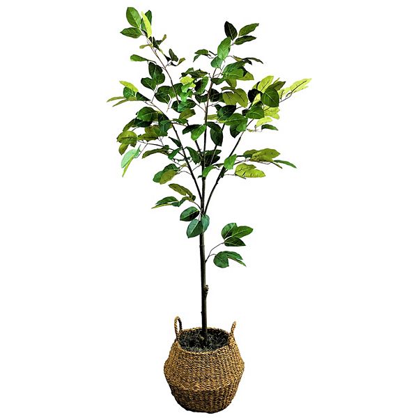 Sonoma Goods For Life® 6ft. Audrey Ficus Artificial Tree