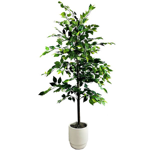 Sonoma Goods For Life® 6-ft. Ficus Artificial Tree